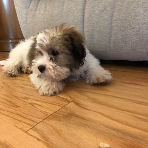 Meet your Posher, Lynn